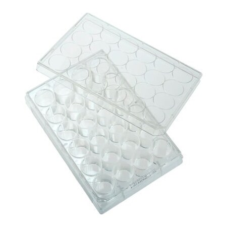 Celltreat CELLTREAT  24 Well Tissue Culture Plate with Lid, Individual, Sterile 229124
